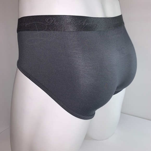 David Archy Micro Modal Briefs - Gray - Picture 5 of 7